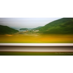 dailyPhoto5